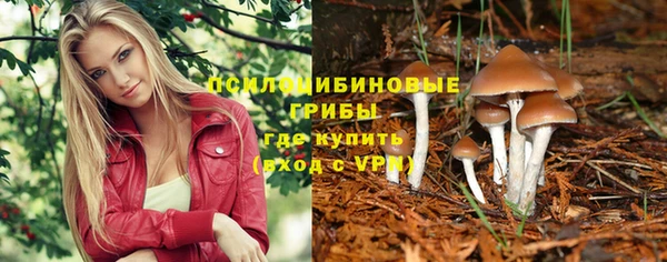 МДПВ Волосово