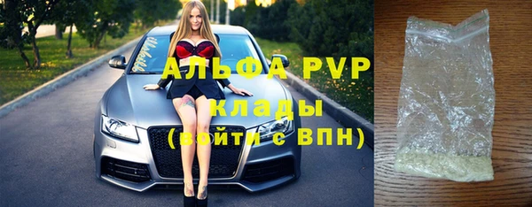 СК Волоколамск